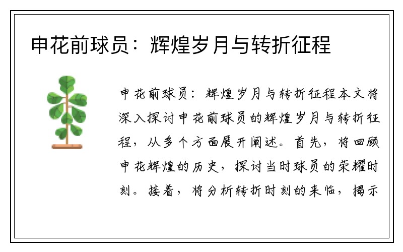 申花前球员:辉煌岁月与转折征程