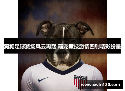 狗狗足球赛场风云再起 萌宠竞技激情四射精彩纷呈